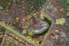 Nicolas AVERTY - UN OEIL AVERTY